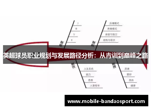 英超球员职业规划与发展路径分析：从青训到巅峰之路