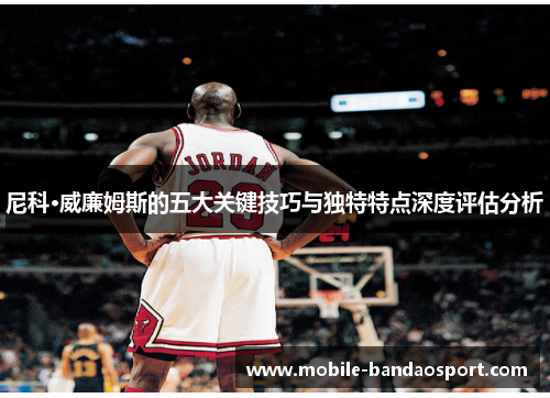 尼科·威廉姆斯的五大关键技巧与独特特点深度评估分析