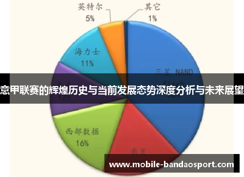 意甲联赛的辉煌历史与当前发展态势深度分析与未来展望