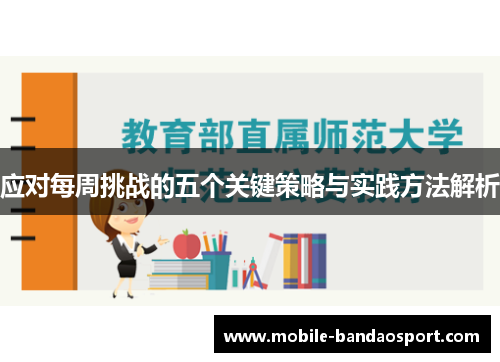 应对每周挑战的五个关键策略与实践方法解析