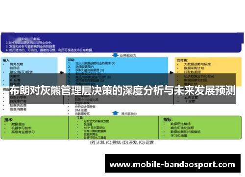 布朗对灰熊管理层决策的深度分析与未来发展预测