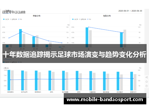 十年数据追踪揭示足球市场演变与趋势变化分析