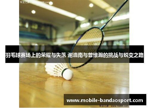 羽毛球赛场上的荣耀与失落 谢浩南与曾维瀚的挑战与蜕变之路