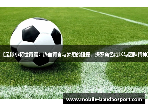 《足球小将世青篇：热血青春与梦想的碰撞，探索角色成长与团队精神》
