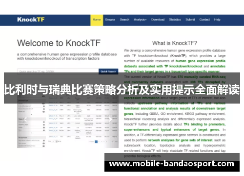 比利时与瑞典比赛策略分析及实用提示全面解读