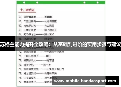 苏格兰能力提升全攻略：从基础到进阶的实用步骤与建议