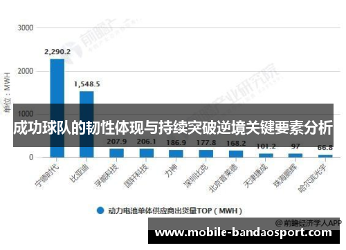 成功球队的韧性体现与持续突破逆境关键要素分析
