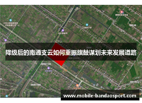 降级后的南通支云如何重振旗鼓谋划未来发展道路
