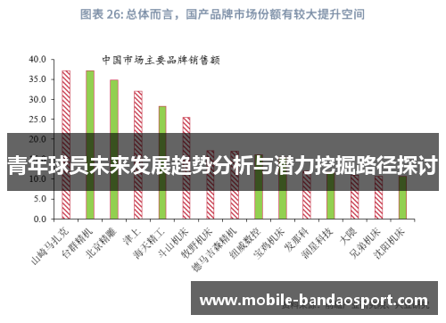 青年球员未来发展趋势分析与潜力挖掘路径探讨
