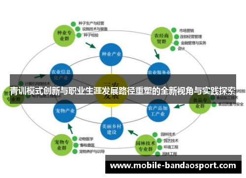 青训模式创新与职业生涯发展路径重塑的全新视角与实践探索