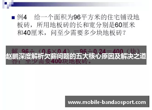 赵鹏深度解析欠薪问题的五大核心原因及解决之道