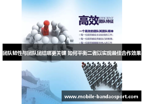 团队韧性与团队团结哪更关键 如何平衡二者以实现最佳合作效果 团队韧性与团队团结哪更关键 如何平衡二者以实现最佳合作效果