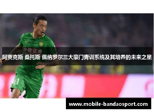 阿贾克斯 桑托斯 佩纳罗尔三大豪门青训系统及其培养的未来之星 阿贾克斯 桑托斯 佩纳罗尔三大豪门青训系统及其培养的未来之星