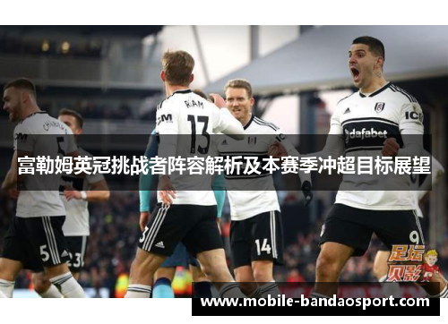 富勒姆英冠挑战者阵容解析及本赛季冲超目标展望