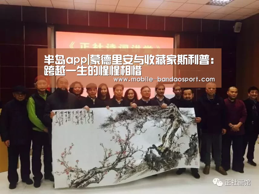 半岛体育app下载