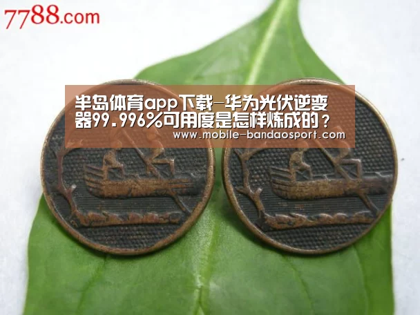 半岛体育app下载